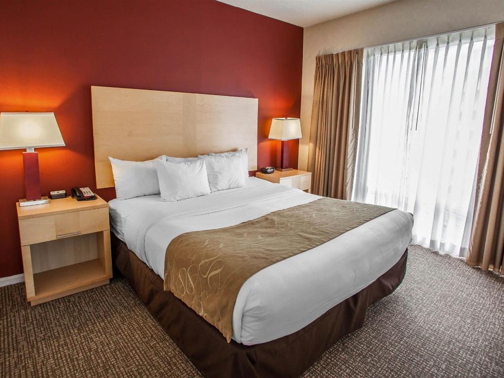 Comfort Suites Michigan Avenue Official Site Hotels In Chicago