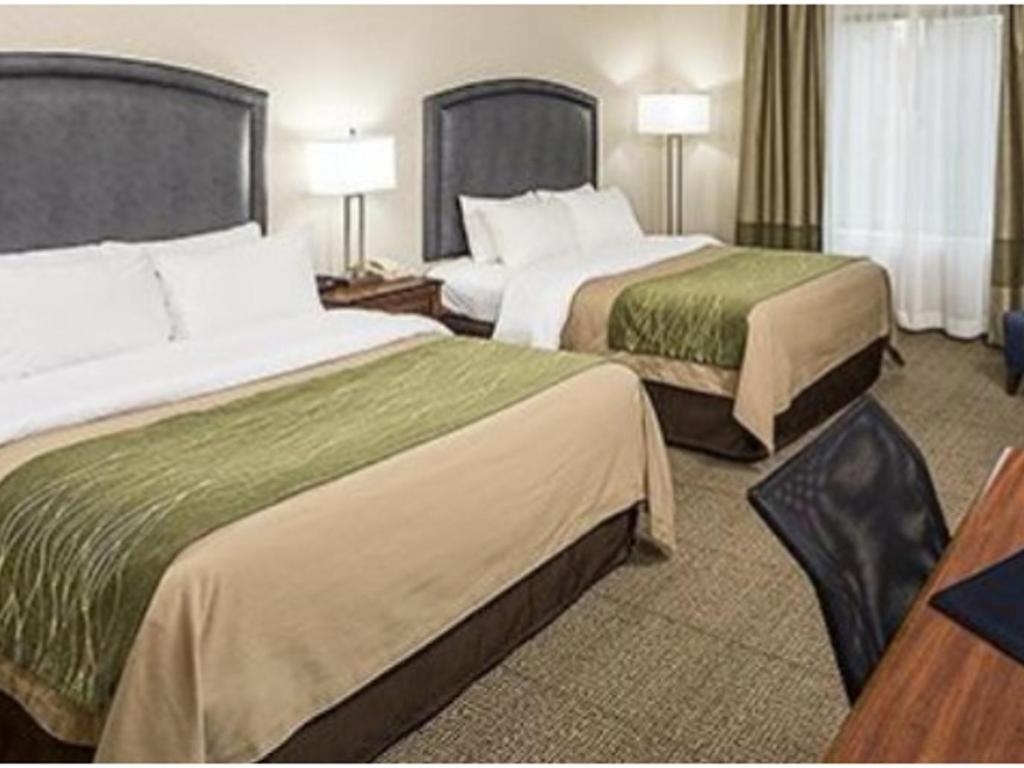 Comfort Inn Suites South Burlington Official Site Hotels In