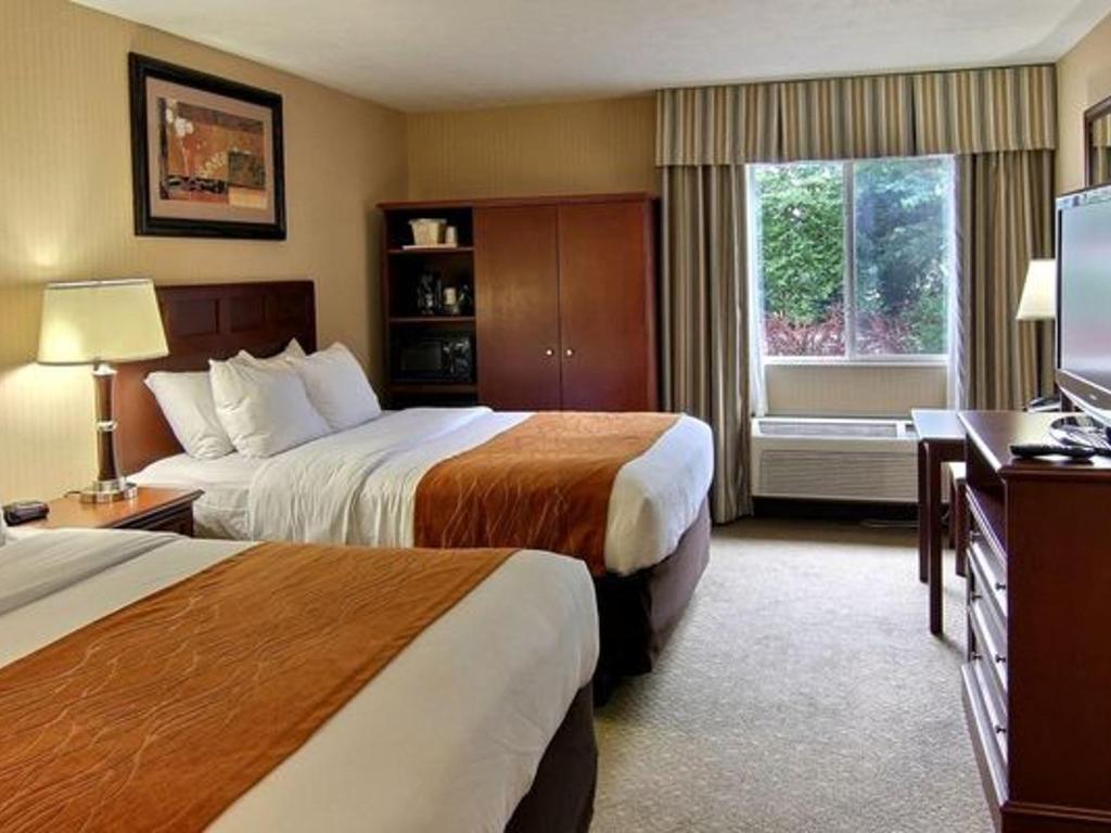 Comfort Inn Traverse City Official Site Hotels In Traverse City