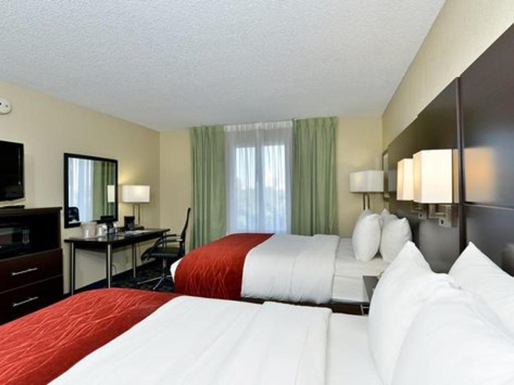 Queen Bed Suite Comfort Inn Orlando Orlando United States