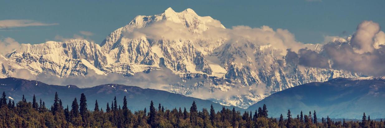 Denali National Park Tours - McKinley Creekside Cabins & Café -Alaska