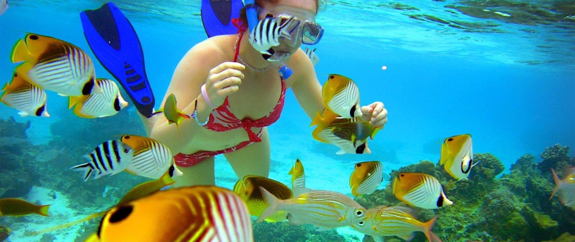 The Rarotongan Beach Resort Lagoonarium Rarotonga Cook Islands The Rarotongan Beach Resort Spa