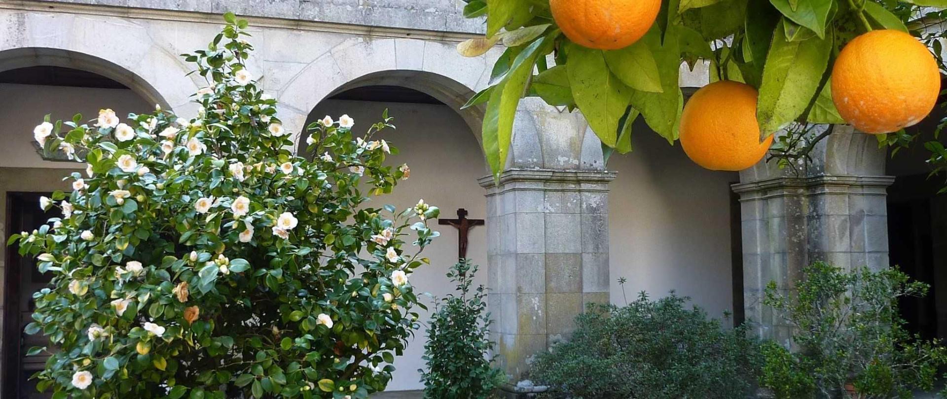 Mosteiro De S. Cristovao De Lafoes