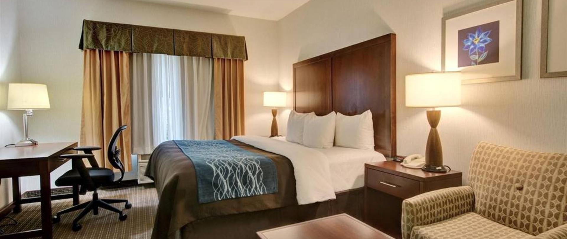 Comfort Inn Suites Portland Airport Official Site Hotels