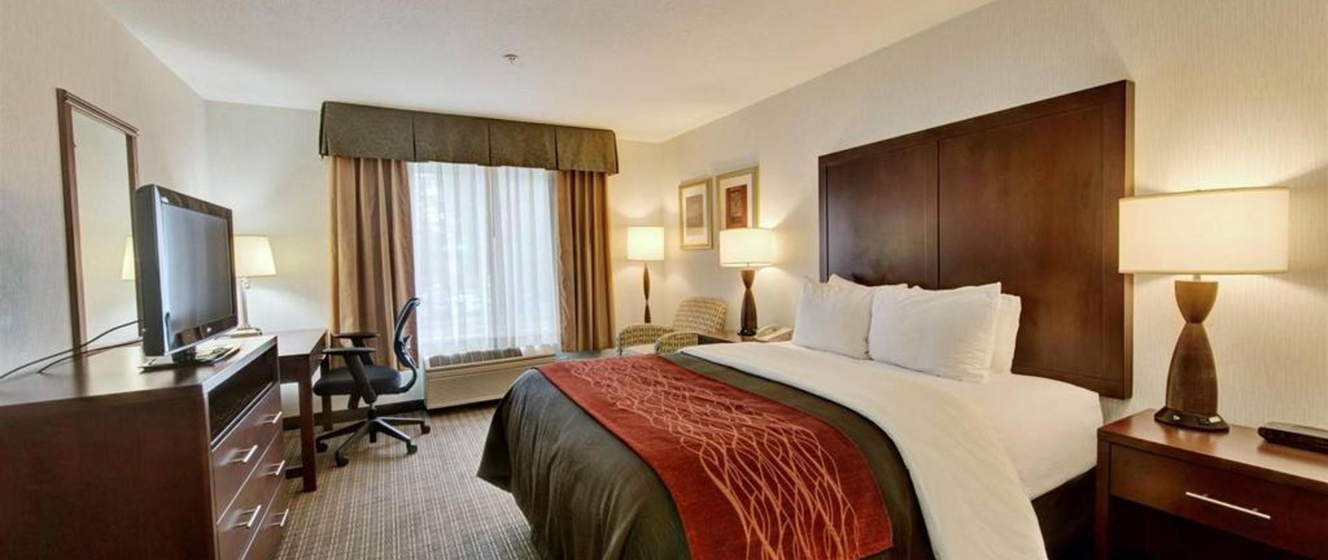 Comfort Inn Suites Portland Airport Official Site Hotels