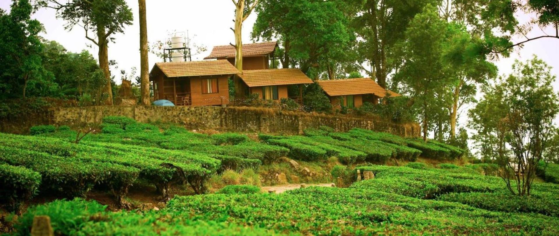 T6 Cottages Official Site Chalets In Munnar