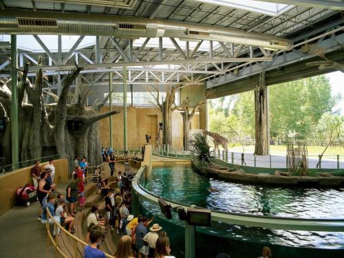 centro-promo-zoo-package.jpg