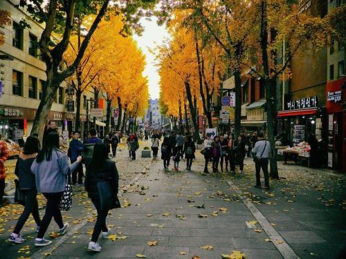 autumn-1511737_960_720.jpg