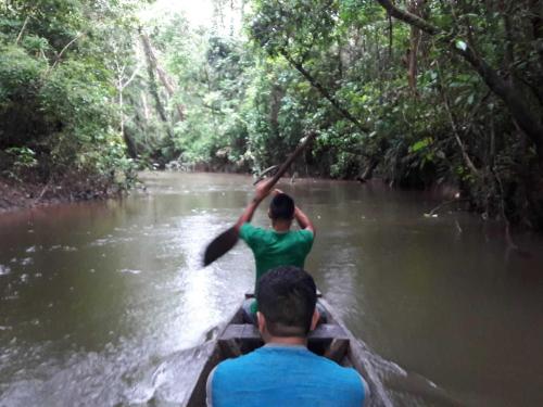 One day activities