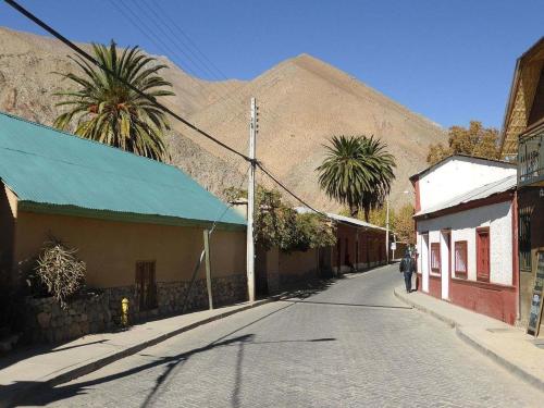 pisco-elqui-1.jpg