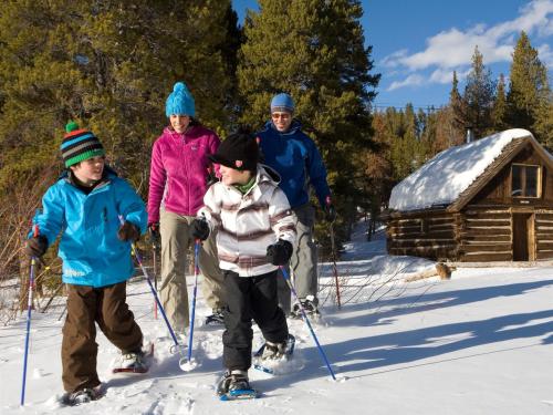 Winter Activities