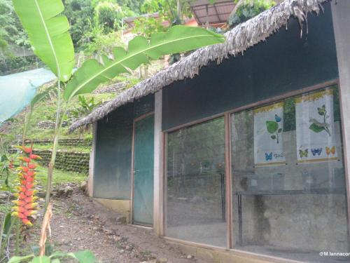 Parque Ecológico