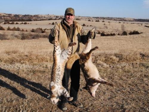 Predator Hunts