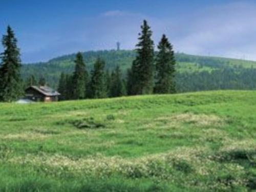 Landschaft und Natur