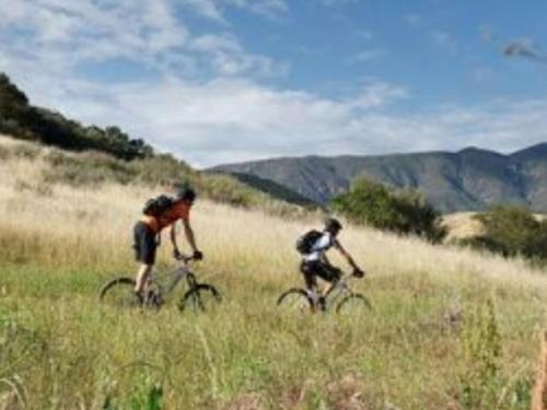 Bicycle Adventures