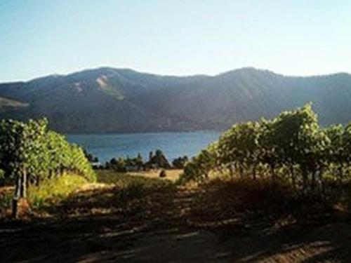 Leavenworth Wineries