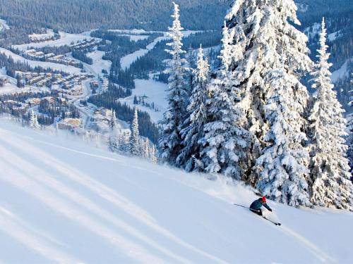 Winter Activities