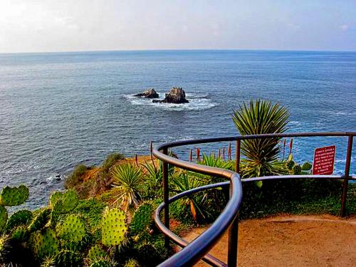 5 More Places In Laguna Beach Capri Laguna On The Beach Laguna Bea