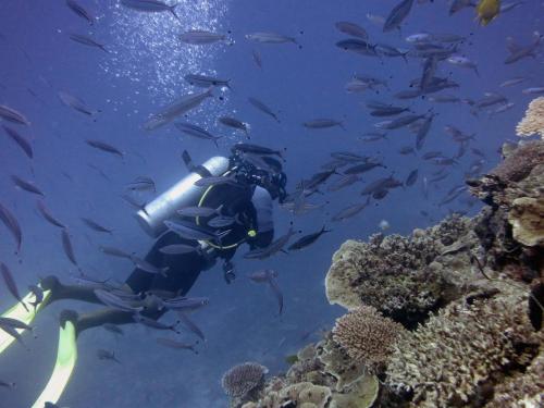 Scuba Diving