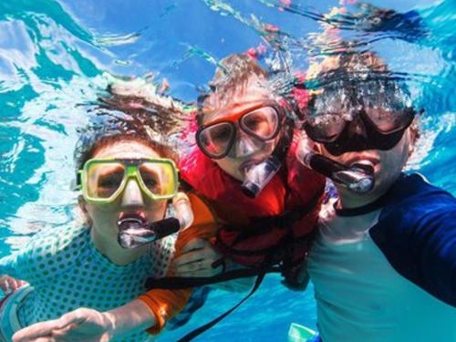 Tropical. Beach Front Resort vs. Home Sharing Rentals