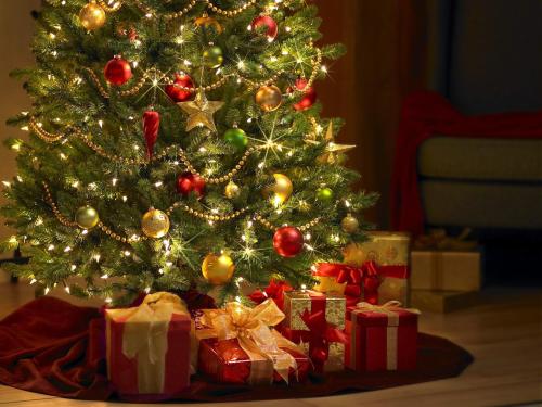 Hudson Valley Christmas Trees Package