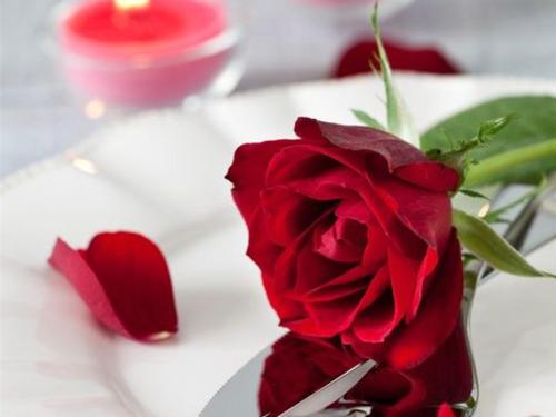 Noche Romántica