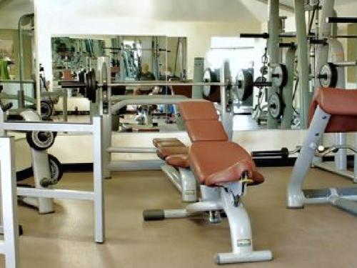 Health & Wellness
