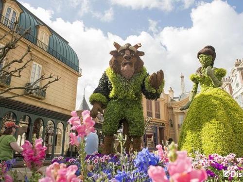 Disney Destination News