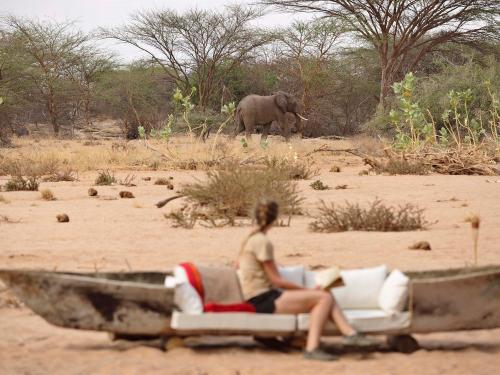 Saruni Rhino & Rhino Tracking