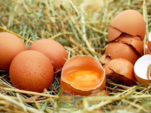 egg-1510449.jpg