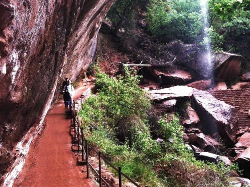 Zion's Emerald Pools