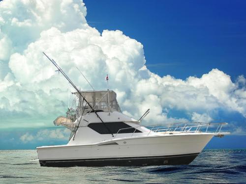 hatteras-39.png