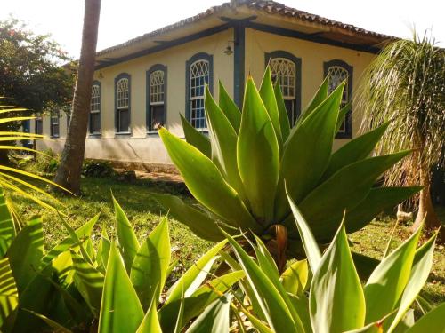 Atrações da Fazenda