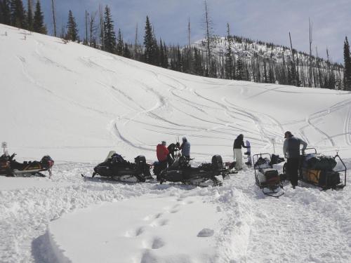 Snowmobiles 2018