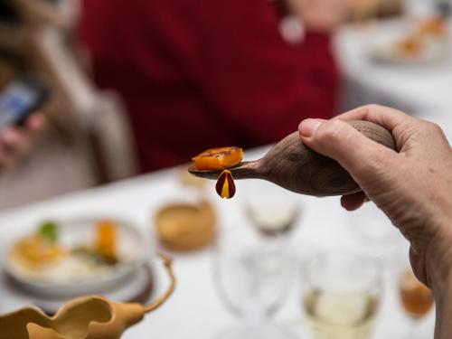 STEINBEISSER EXPERIMENTAL GASTRONOMY