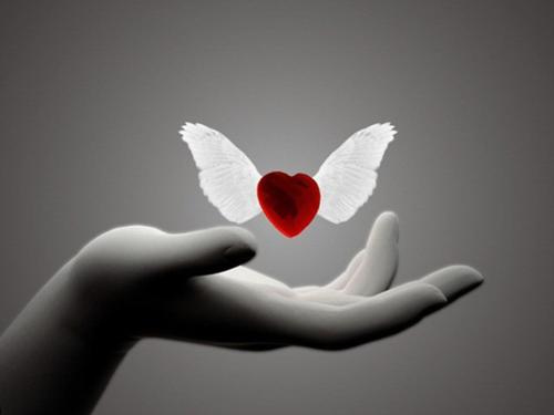 Speciale SAN VALENTINO
