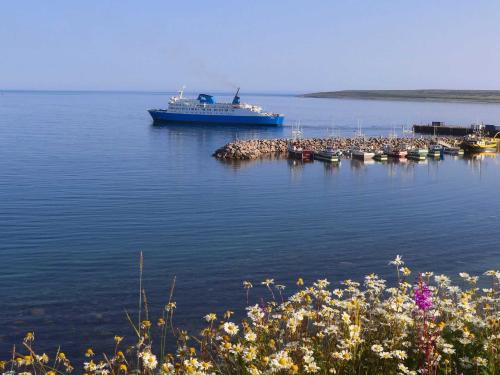 1e4a7250_hdr_labrador-ferry-1.jpeg