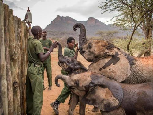 Reteti Elephant Sanctuary