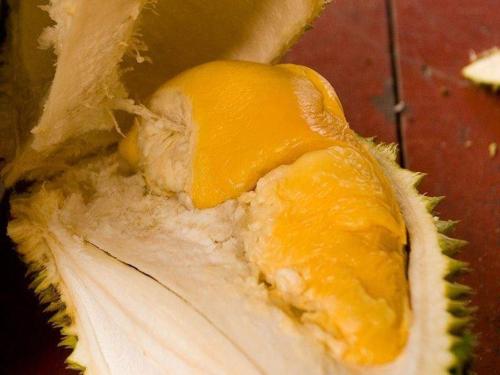 durian5.jpg