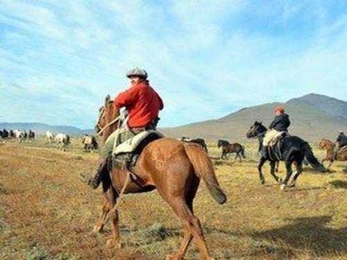 baqueanos-001.jpg.478x239_default
