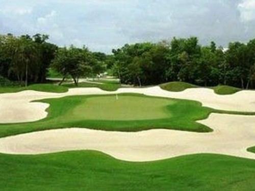 golf.jpg