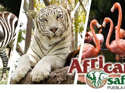 me-excursiones-africam.jpg
