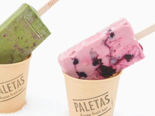 Frozen Fruit Bar PALETAS