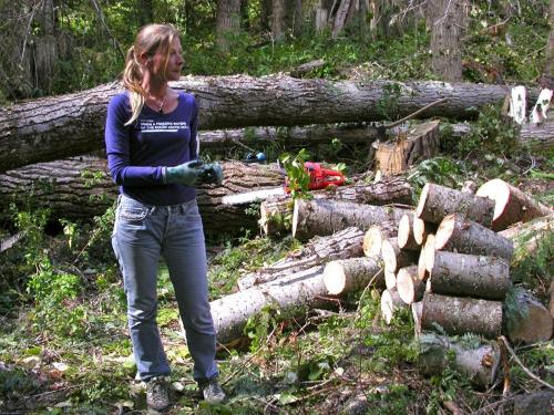 The making of Logden Lodge