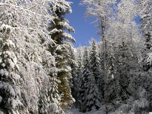 Winter at the Lodge