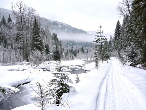 Winter at the Lodge
