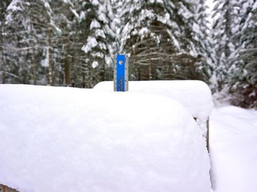Winter at the Lodge