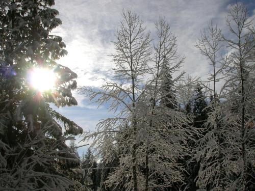 Winter at the Lodge