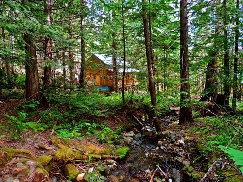 Summer at the Lodge
