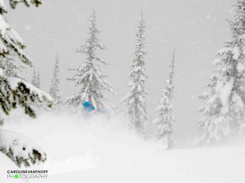 Living the Canadian Winter Dream at Logden Lodge